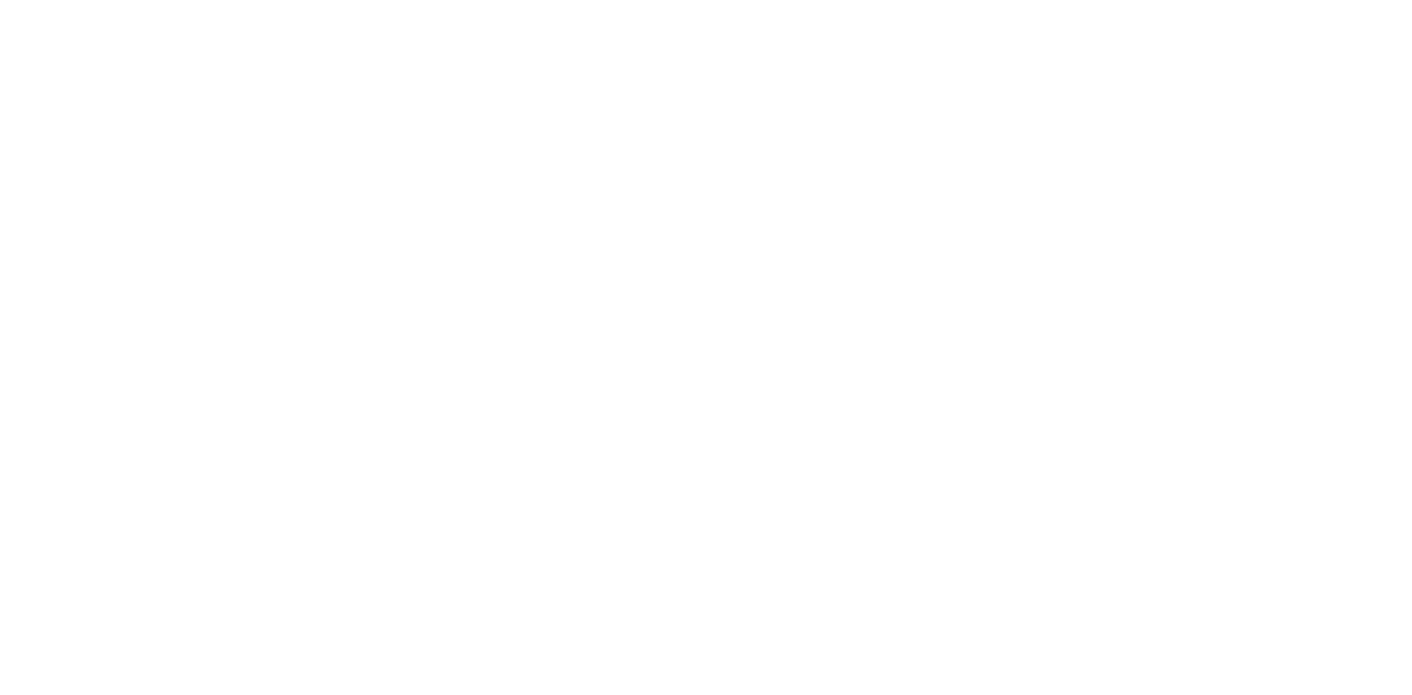 DESIGN SECTOR-logo